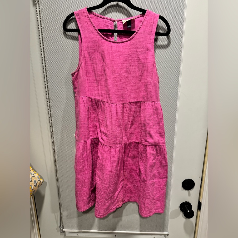Universal Thread Vibrant Pink Dress